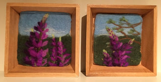 Lupine Duo