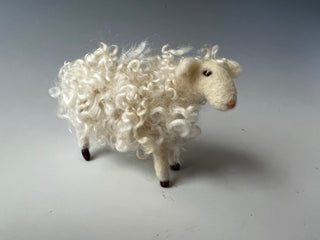 Sammy Sheep