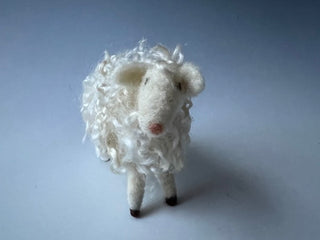 Sammy Sheep