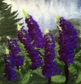 Lupine 1